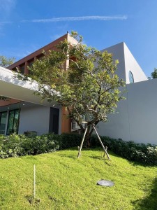 608666554_1697606891666936_5657399934568148820_n