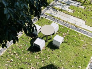 611272817_1697606718333620_7834759084883958004_n